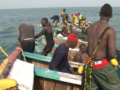 Piroguiers opérant une senne tournante