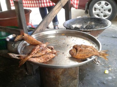 Poisson pour chaque portemonnaie