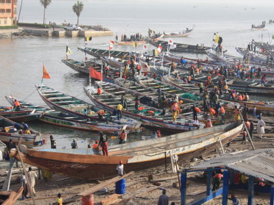 Des pirogues rentrent ° Guet Ndar, St. Louis, Sénégal après avoir débarqué leur captures (Photo A. Sall)