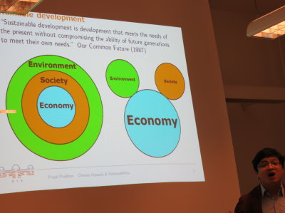 Sustainability versus Micky Mouse Economics